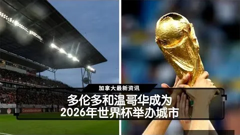 足坛血案惊悚！西蒙斯真诚致歉星空体育直播：范戴克尊位无损，绝无恶意伤害之心
